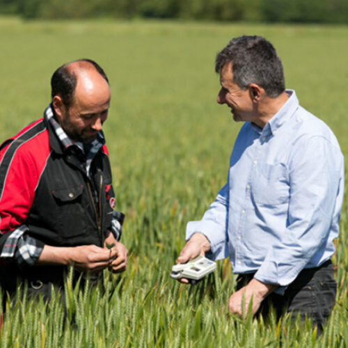 L’agriculture comme réponse au changement climatique