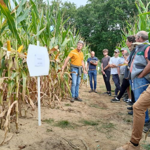 La formation au cœur de notre métier !